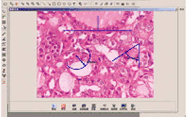 生物分析管理软件WY-UV-P