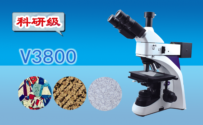 1665456828209500.png 显微镜.png